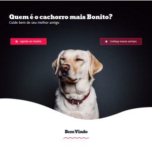 Criação de site para Petshop